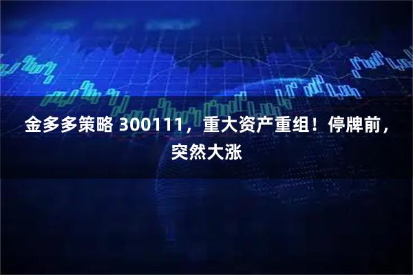 金多多策略 300111，重大资产重组！停牌前，突然大涨