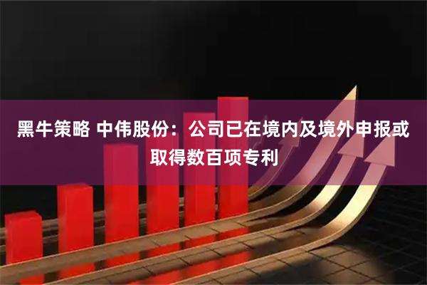 黑牛策略 中伟股份：公司已在境内及境外申报或取得数百项专利