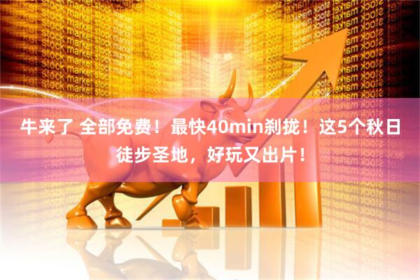 牛来了 全部免费！最快40min刹拢！这5个秋日徒步圣地，好玩又出片！