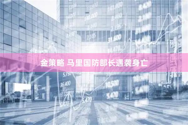 金策略 马里国防部长遇袭身亡