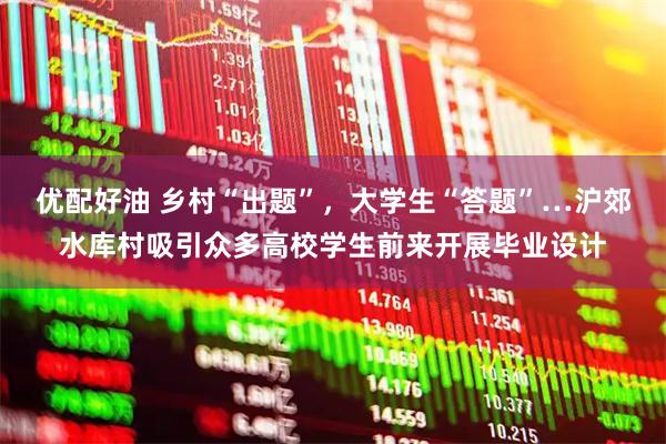 优配好油 乡村“出题”，大学生“答题”…沪郊水库村吸引众多高校学生前来开展毕业设计
