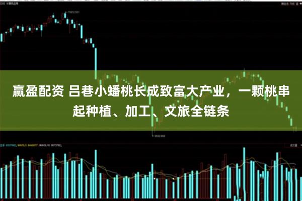 赢盈配资 吕巷小蟠桃长成致富大产业，一颗桃串起种植、加工、文旅全链条